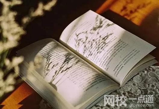 山东中医药大学录取分数线2022年