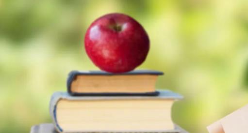 山东英才学院录取分数线2023年(2023高考所有专业分数线一览表)