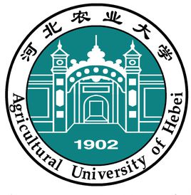 河北农业大学2021录取分数线
