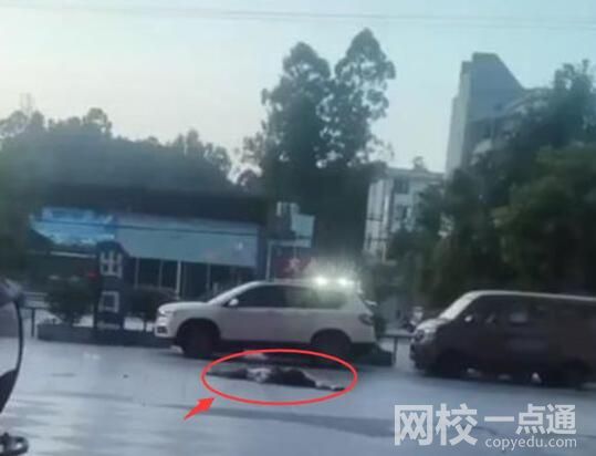 疑女子跳楼砸中路人:2具遗体被拉走 惨不忍睹内幕简直不忍直视