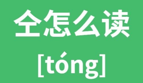 仝是什么意思 仝怎么读?