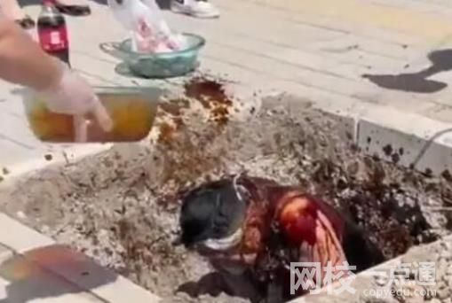 新人接亲双双被撒成白眉大侠 到底是怎么回事?