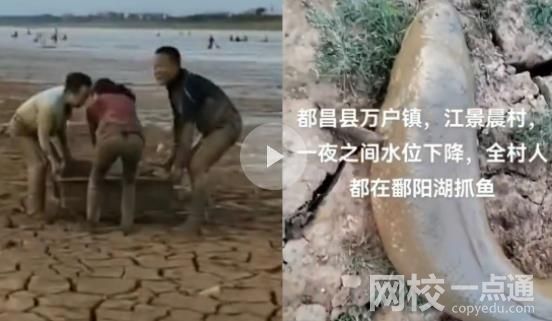 市民到鄱阳湖捡鱼 官方:很危险 大伙带着箱子和麻袋收获满满