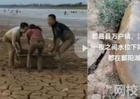 市民到鄱阳湖捡鱼 官方:很危险 干旱导致水域面积缩小9成