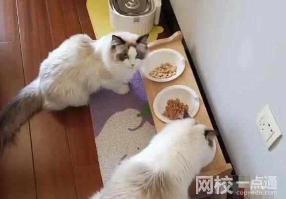 年轻人假期兼职图鉴 年轻人通过什么方式在国庆假期赚钱?
