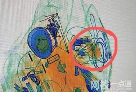 旅客携带罂粟过安检称治胃病 具体是什么情况?
