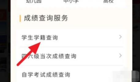 学籍号怎么查大学 学籍号编排规则是什么?