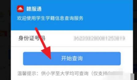 学籍号怎么查大学 学籍号编排规则是什么?