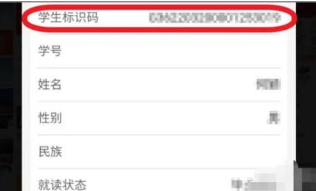 学籍号怎么查大学 学籍号编排规则是什么?