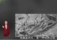 新研究发现地球可自我调节温度 研究人员认为这是一种“稳定反馈”机制