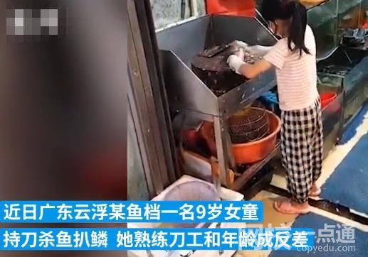 9岁女童档口持刀杀鱼扒鳞 熟练的刀工和年龄成反差