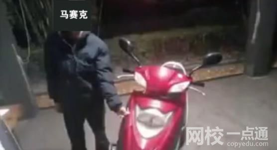 男子撞死老人现场谎称是自己父亲 网友评论可谓又蠢又坏