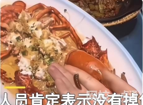 食客点龙虾做记号上菜后发现被换 商家称上错菜坚决不承认调换龙虾