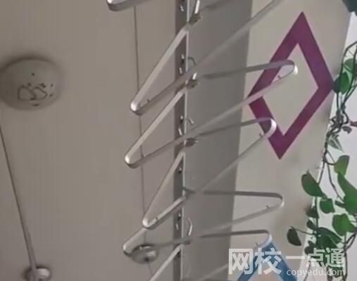 新疆震感现场:居民家植物衣架摇晃 始料未及真相简直太惊人