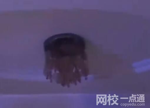 新疆震感现场:居民家植物衣架摇晃 始料未及真相简直太惊人