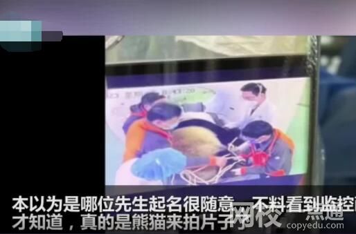 医院有位患者叫熊猫是真熊猫 原因竟是这样令人惊个呆
