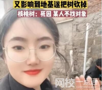 女子算命核桃树挡姻缘家人将树砍掉 究竟是怎么回事？