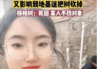 女子算命核桃树挡姻缘家人将树砍掉 原因实在太意外了