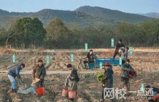 这群年轻人 在综艺节目中“种地” 内幕曝光简直太意外了