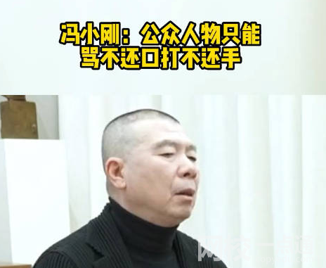 冯小刚:公众人物只能骂不还口 内幕曝光简直太意外了