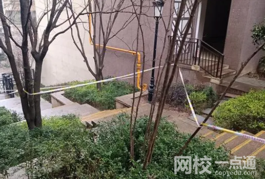 男孩扔木块砸死老人 父母:无钱赔偿原因简直太悲剧