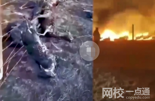 中蒙边境草原起火 围栏挂满羊焦尸 背后真相实在让人惊愕