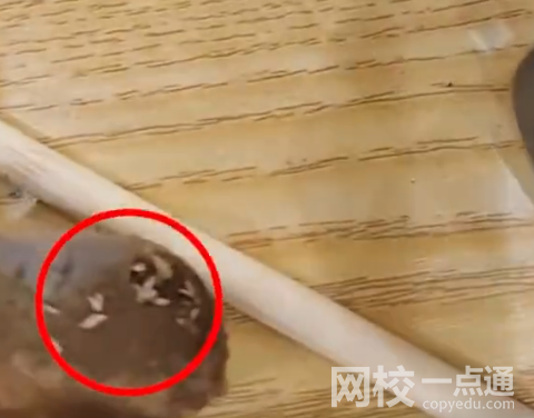 女子称吃黄焖排骨发现满嘴是蛆视频曝光