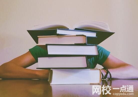 2023年宁波大学科学技术学院录取分数线(2023-2024各专业最低录取分数线)