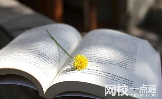 河南科技学院排名多少全国第几位(2023-2024各专业最低录取分数线)