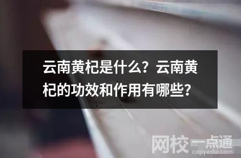 云南黄杞是什么？云南黄杞的功效和作用有哪些？