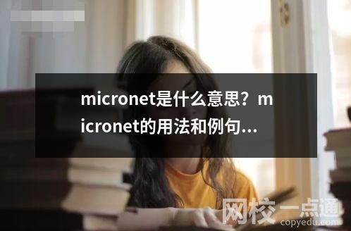 micronet是什么意思？micronet的用法和例句。