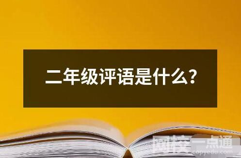 二年级评语是什么？