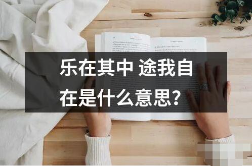 乐在其中 途我自在是什么意思？