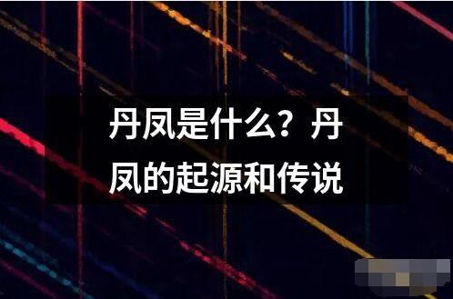 丹凤是什么？丹凤的起源和传说