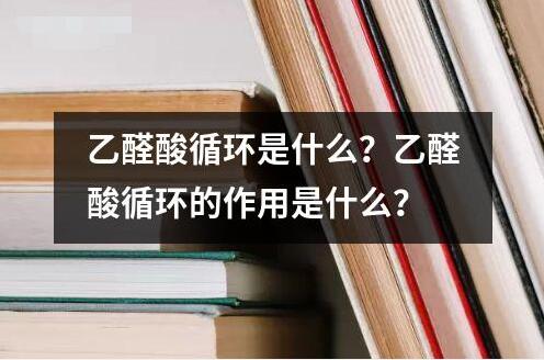 乙醛酸循环是什么？乙醛酸循环的作用是什么？