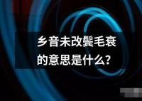 乡音未改鬓毛衰的意思是什么？