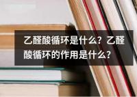 乙醛酸循环是什么？乙醛酸循环的作用是什么？