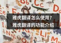雅虎翻译怎么使用？雅虎翻译的功能介绍