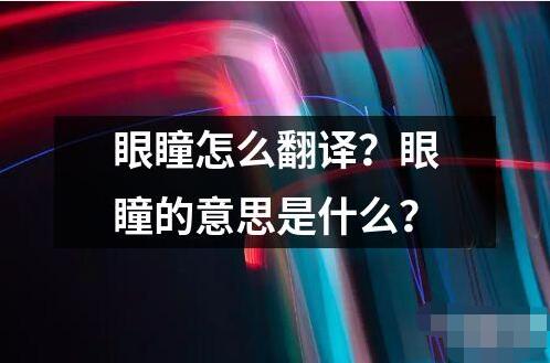 眼瞳怎么翻译？眼瞳的意思是什么？
