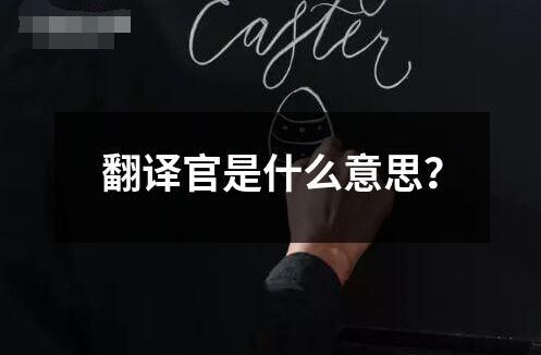 翻译官是什么意思？