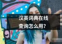 汉英词典在线查询怎么用？