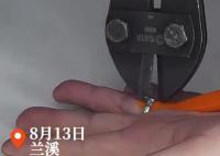 男子结婚22年胖30斤无奈夹断婚戒 为什么胖这么多？