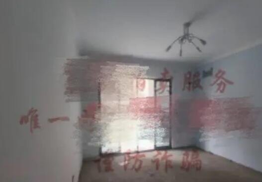 合肥女子在长沙87套法拍房全上拍了 为什么引热议？
