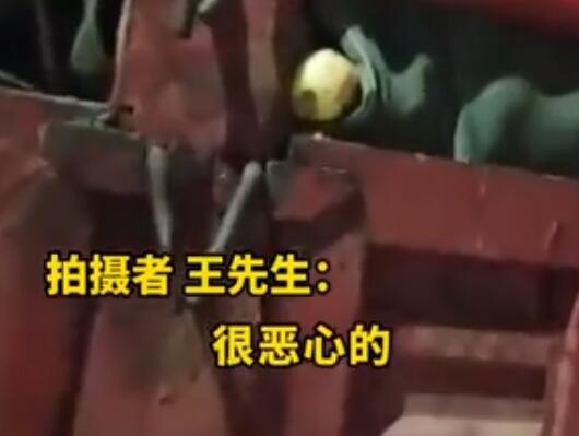货车拉烂苹果进厂榨汁?市监局调查 这也太恶心了