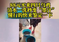 88元网购的4只乌鸡洗出一盆黑水 被眼前的情景吓住了