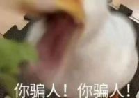 驴肉火烧中未检出驴成分 店铺被罚 为什么引热议什么原因？