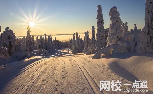 山东科技大学2024在山东省录取分数线(各专业最低分数线一览表公布)