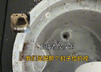 上班7天喝的都是蚂蚁泡澡水 这也太让人恶心了