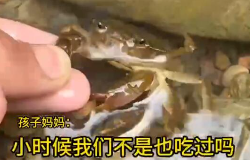 男童生吃蟹腿寄生虫钻进心脏 究竟是怎么回事？