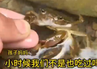男童生吃蟹腿寄生虫钻进心脏 究竟是怎么回事？